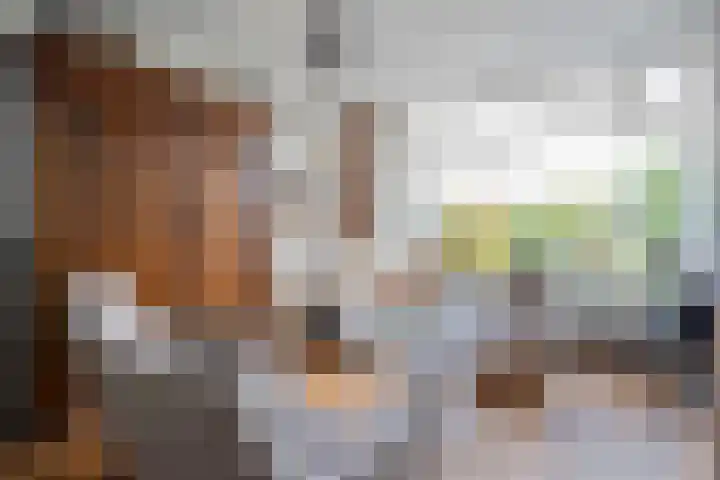 Korenbloemstraat 20 Ommen thumbnail 9