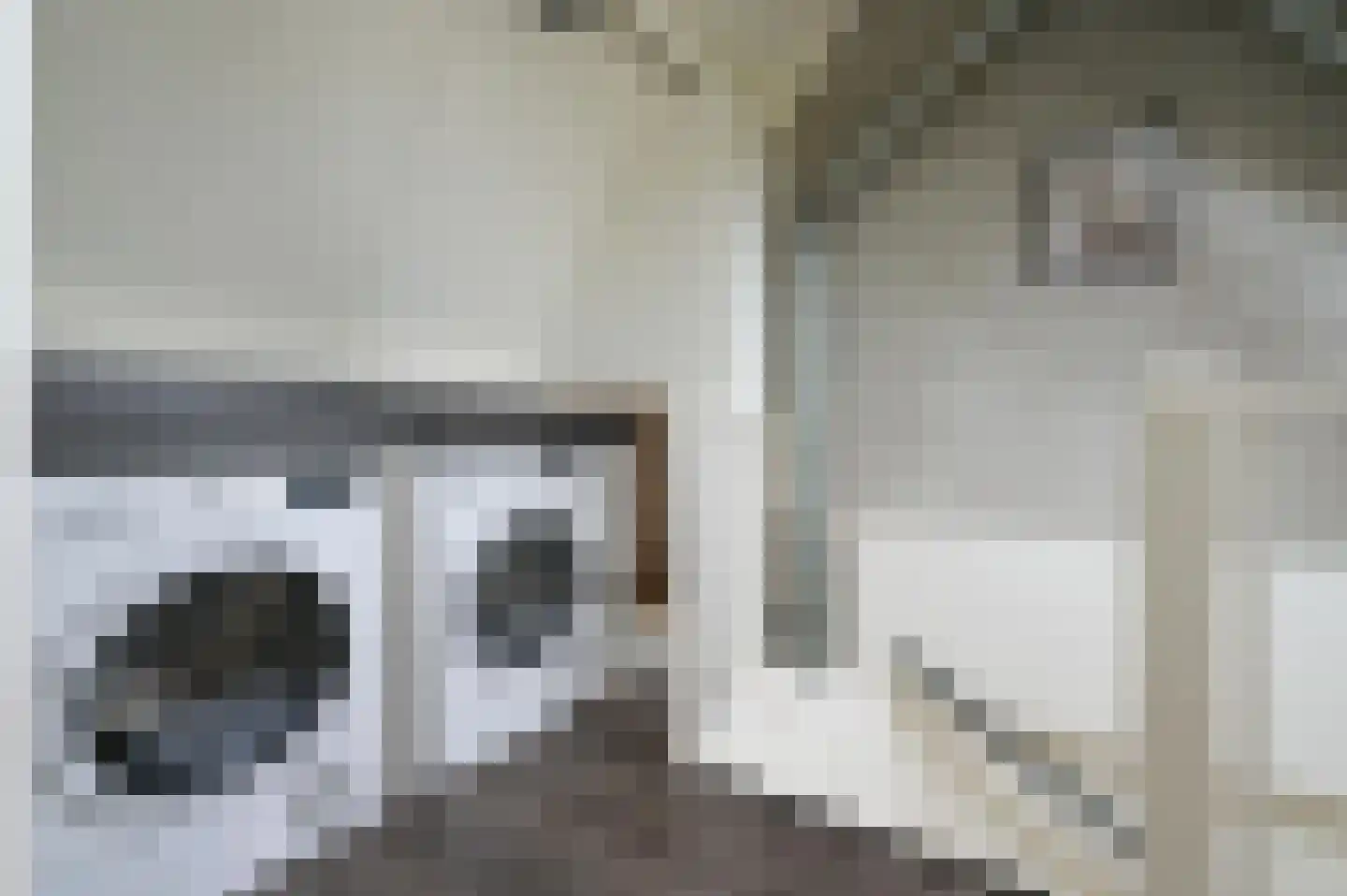 Korenbloemstraat 20 Putten thumbnail 28