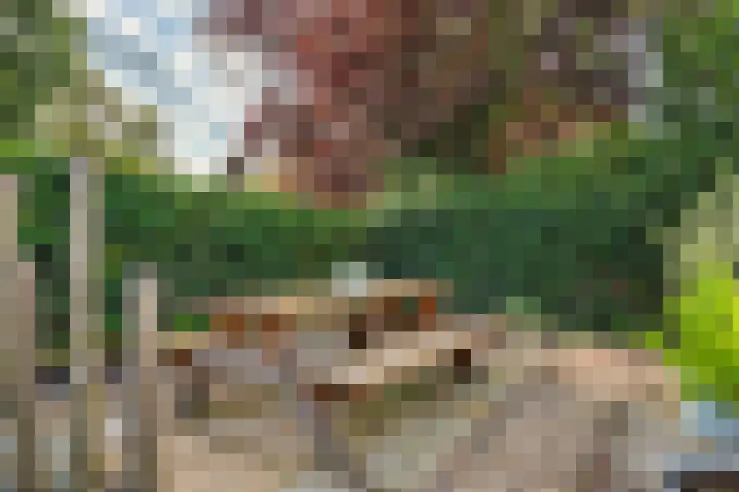 Korenbloemstraat 20 Scharendijke thumbnail 32