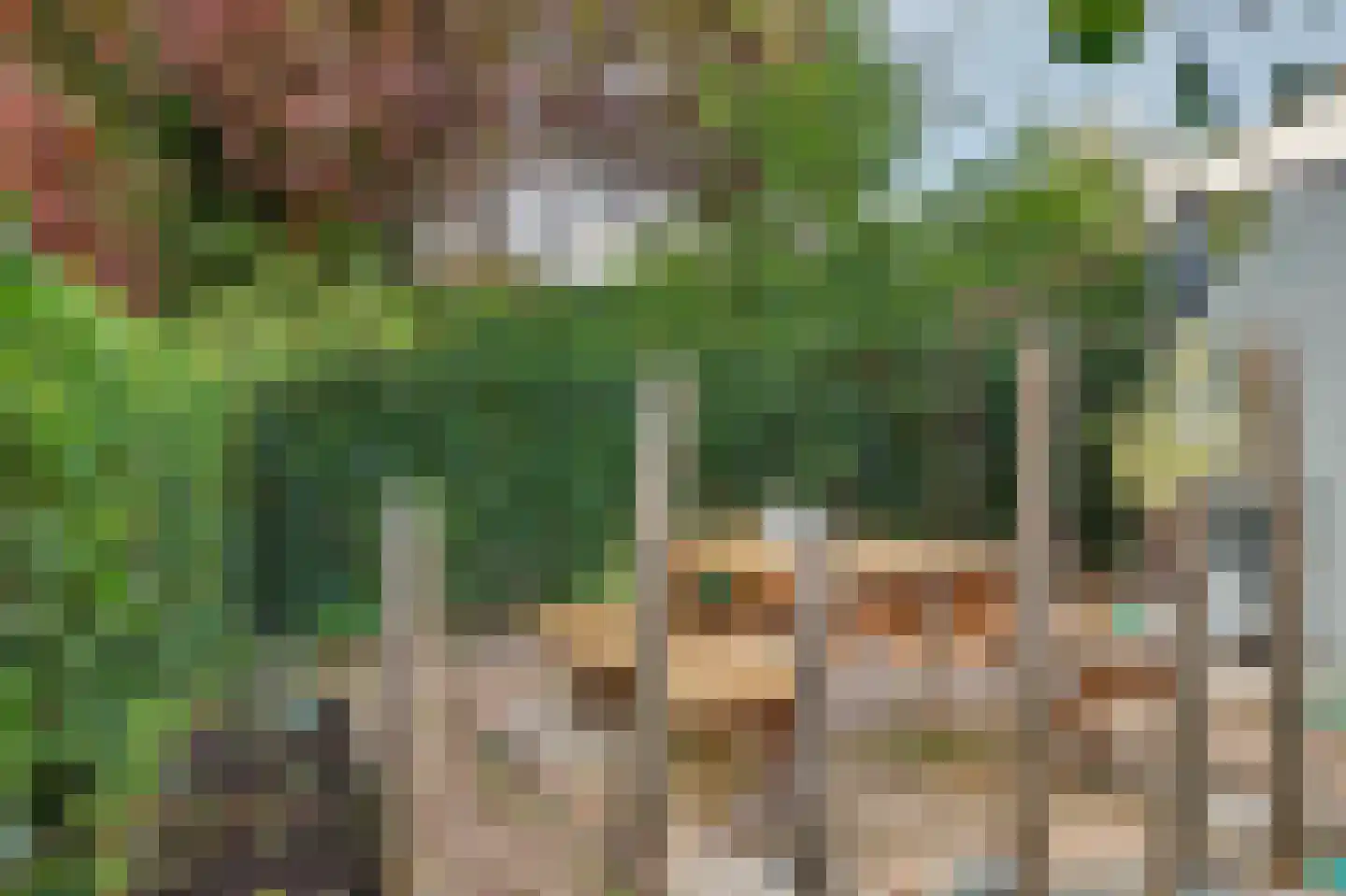Korenbloemstraat 20 Scharendijke thumbnail 33