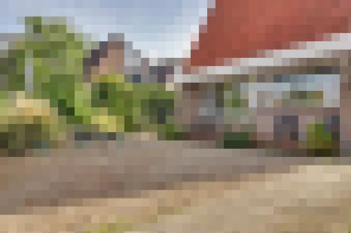 Korenbloemstraat 20 Scharendijke thumbnail 35