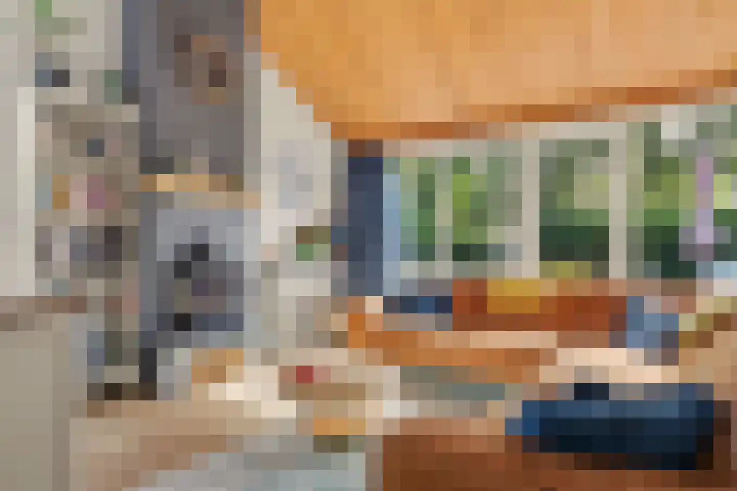 Korenbloemstraat 20 Scharendijke thumbnail 4