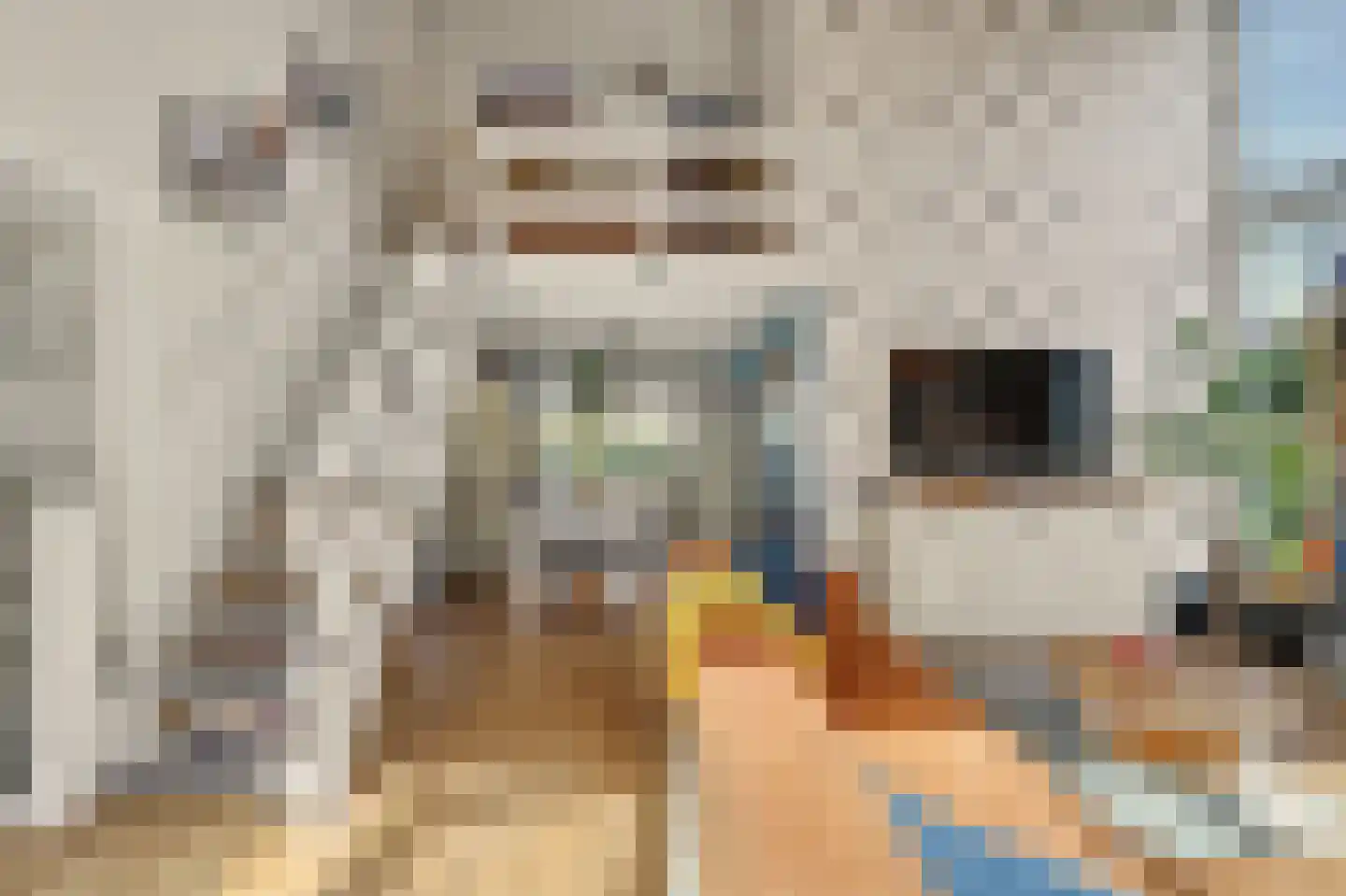 Korenbloemstraat 20 Scharendijke thumbnail 5