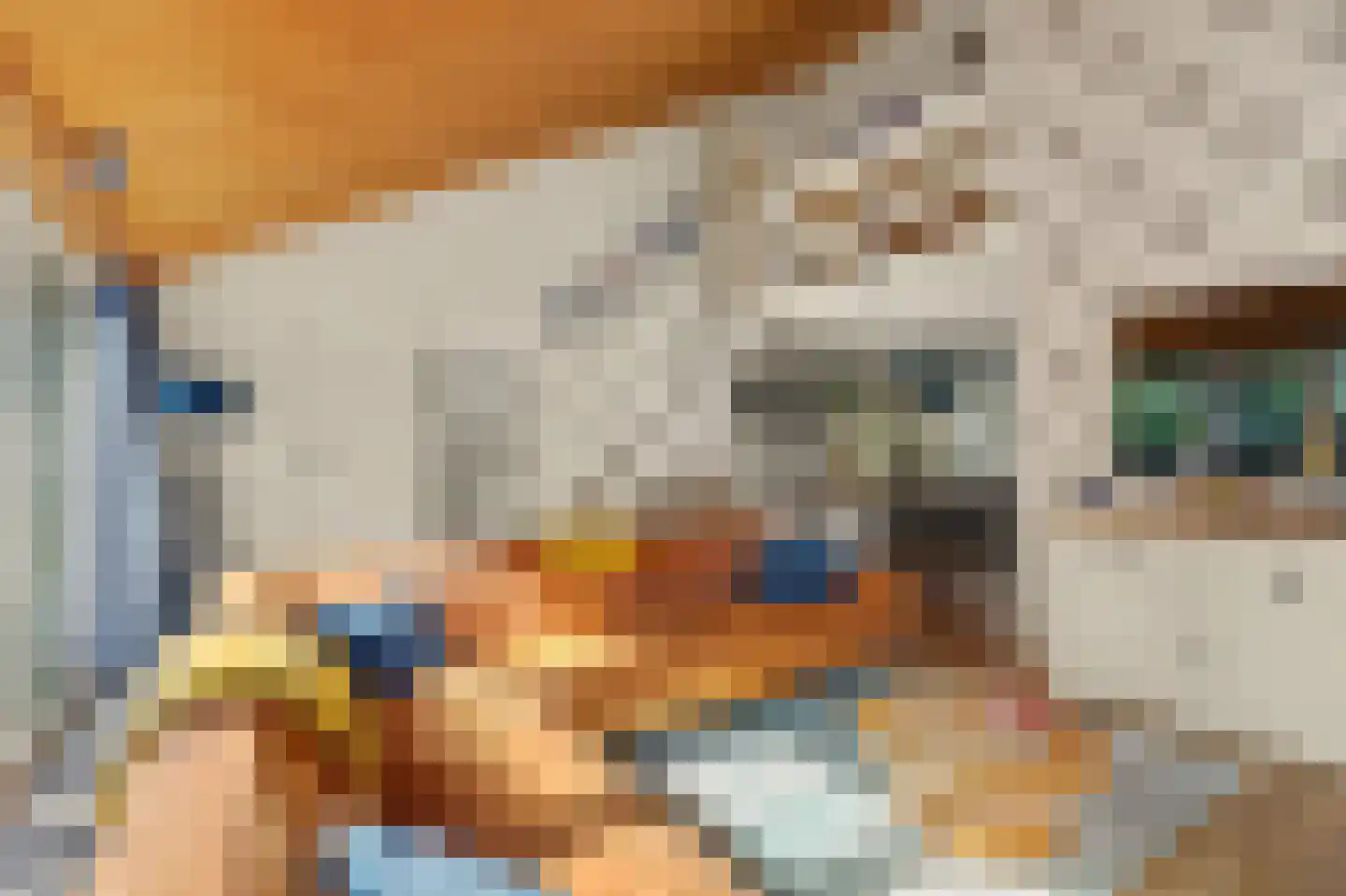 Korenbloemstraat 20 Scharendijke thumbnail 6