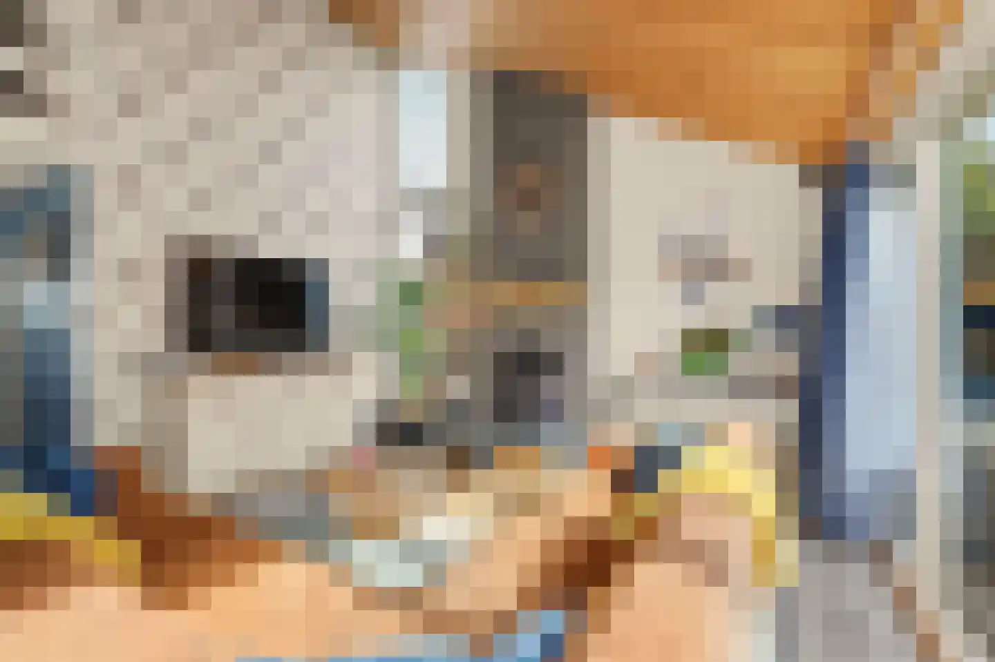 Korenbloemstraat 20 Scharendijke thumbnail 8