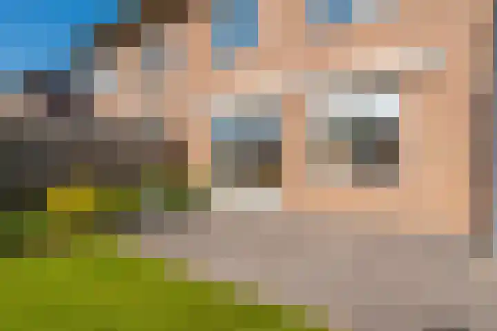 Korenbloemstraat 21 Appingedam thumbnail 15