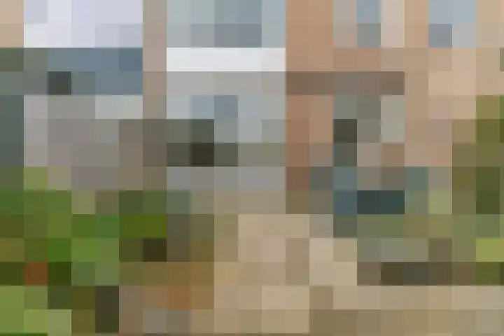 Korenbloemstraat 21 Appingedam thumbnail 38