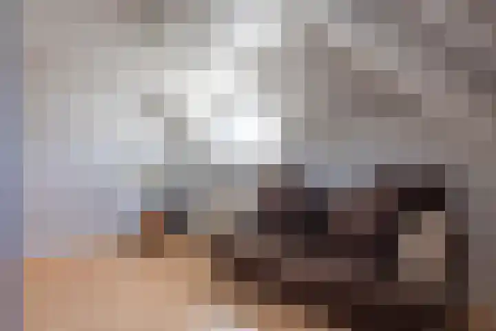 Korenbloemstraat 21 Appingedam thumbnail 4