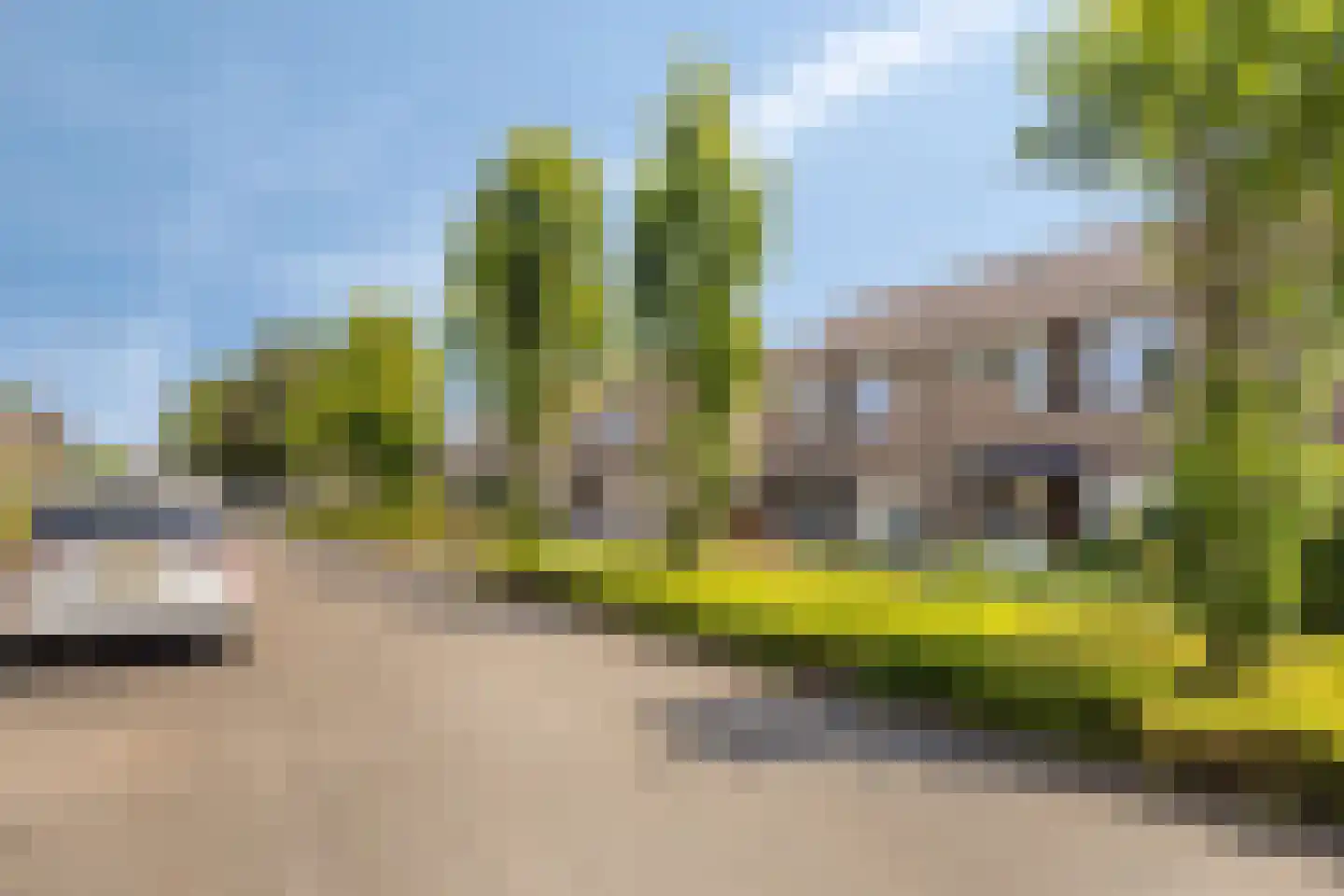 Korenbloemstraat 21 Eibergen thumbnail 29