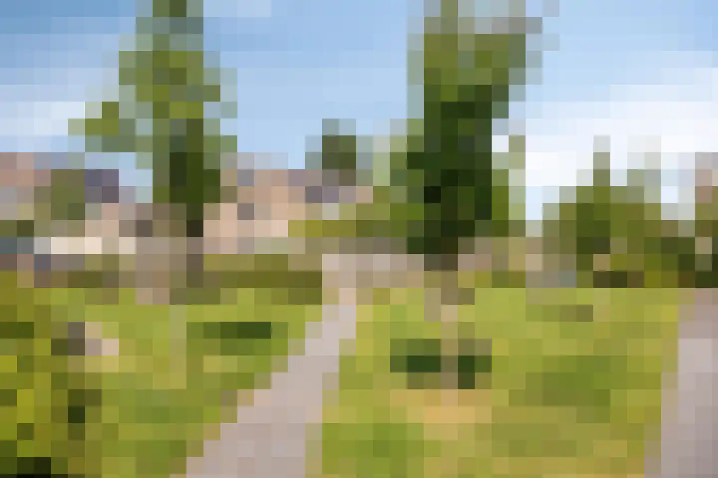 Korenbloemstraat 21 Eibergen thumbnail 31