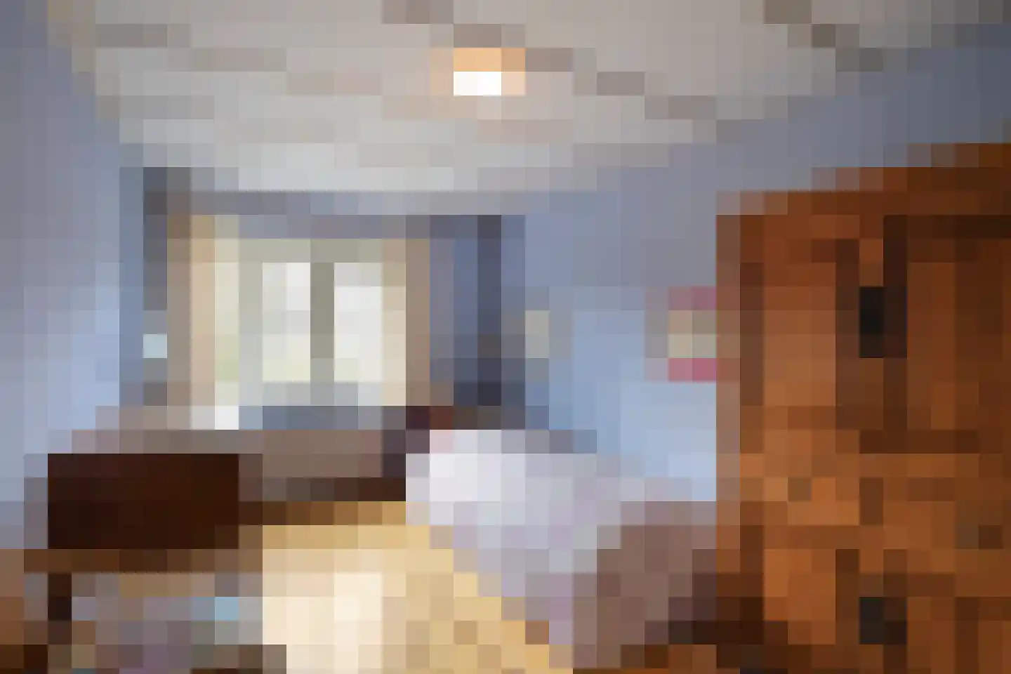 Korenbloemstraat 22 Alkmaar thumbnail 21