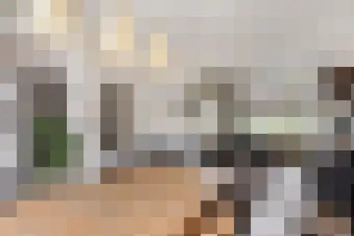 Korenbloemstraat 25 Tilburg thumbnail 10