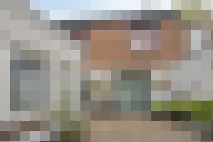 Korenbloemstraat 25 Tilburg thumbnail 32