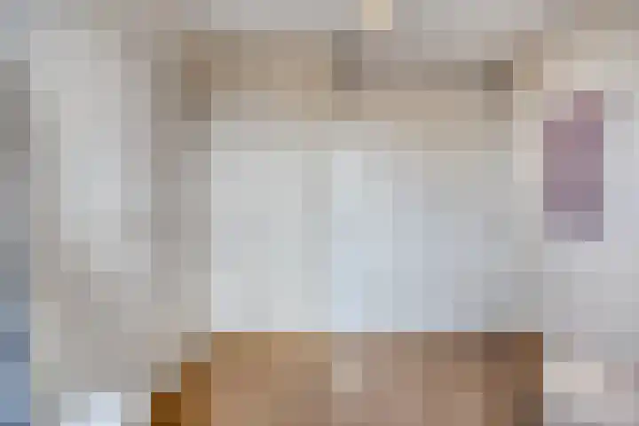Korenbloemstraat 26 Rosmalen thumbnail 39