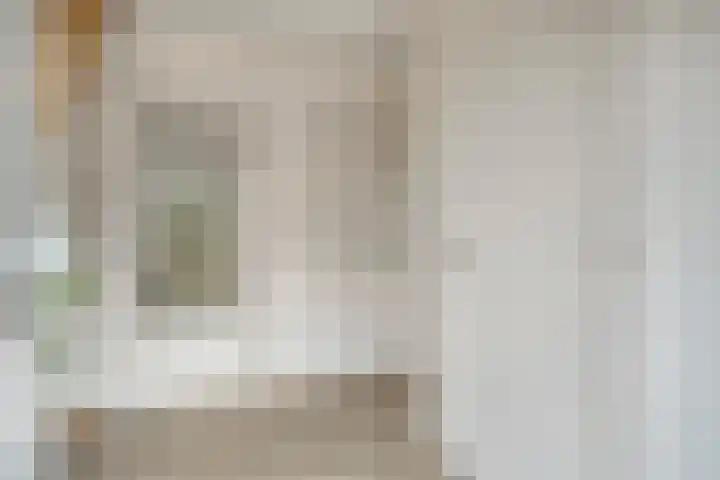 Korenbloemstraat 26 Rosmalen thumbnail 4