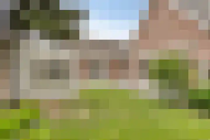 Korenbloemstraat 26 Rosmalen thumbnail 43