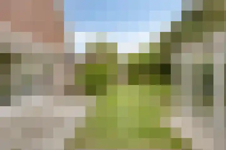 Korenbloemstraat 26 Rosmalen thumbnail 45