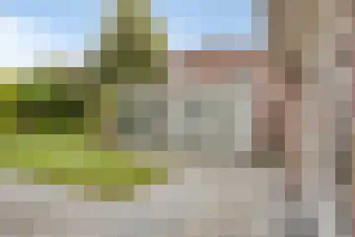 Korenbloemstraat 26 Rosmalen thumbnail 46