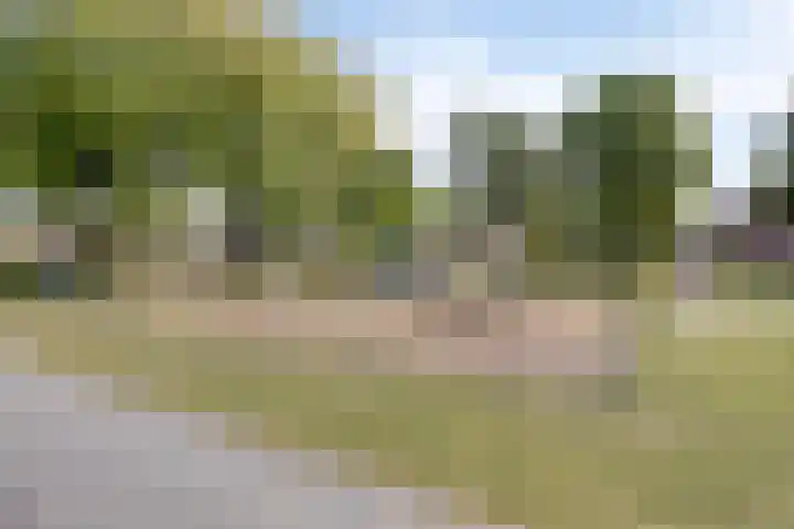 Korenbloemstraat 26 Rosmalen thumbnail 51