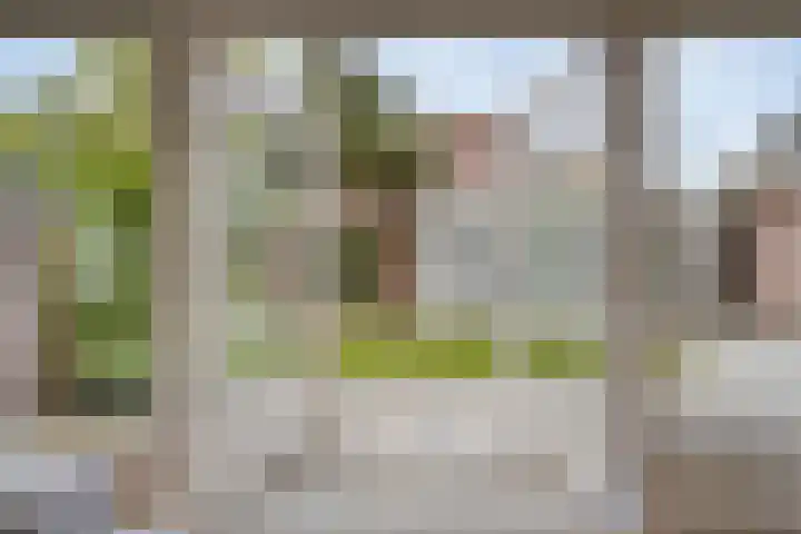 Korenbloemstraat 26 Rosmalen thumbnail 8