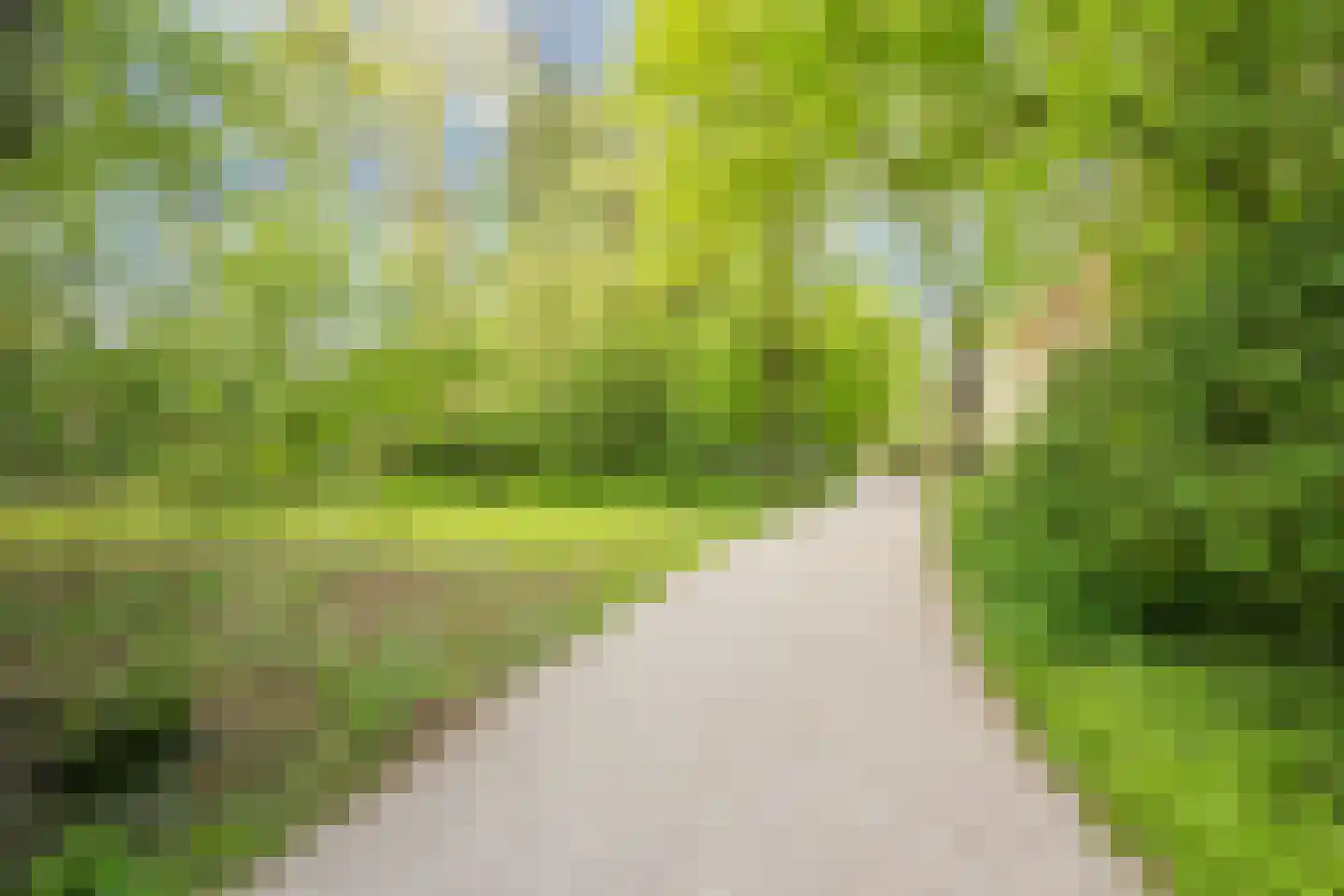 Korenbloemstraat 29 Utrecht thumbnail 38