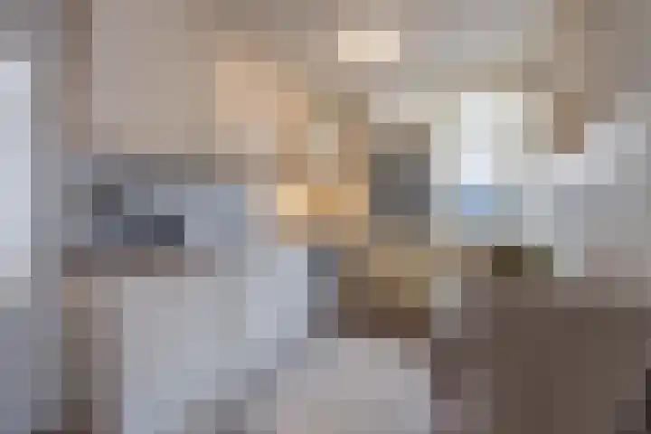 Korenbloemstraat 3 Eck en Wiel thumbnail 12