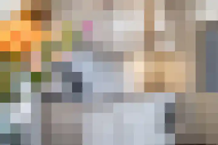 Korenbloemstraat 3 Eck en Wiel thumbnail 13