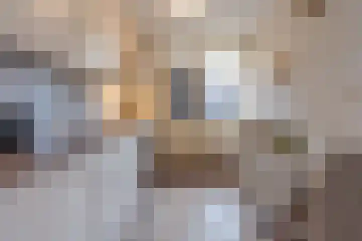 Korenbloemstraat 3 Eck en Wiel thumbnail 14