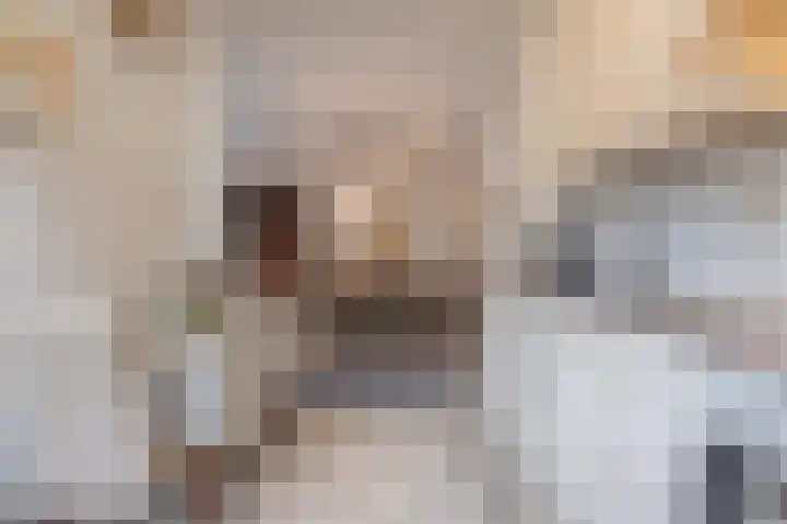 Korenbloemstraat 3 Eck en Wiel thumbnail 15