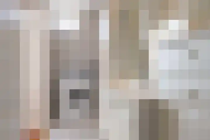 Korenbloemstraat 3 Eck en Wiel thumbnail 21