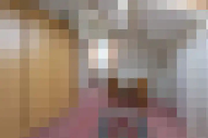 Korenbloemstraat 3 Eck en Wiel thumbnail 24