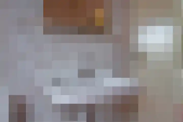 Korenbloemstraat 3 Eck en Wiel thumbnail 28