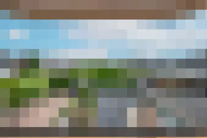 Korenbloemstraat 3 Eck en Wiel thumbnail 29