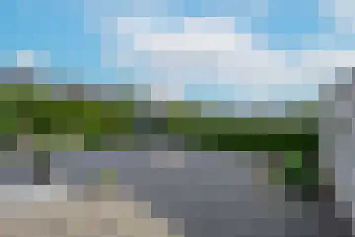 Korenbloemstraat 3 Eck en Wiel thumbnail 31