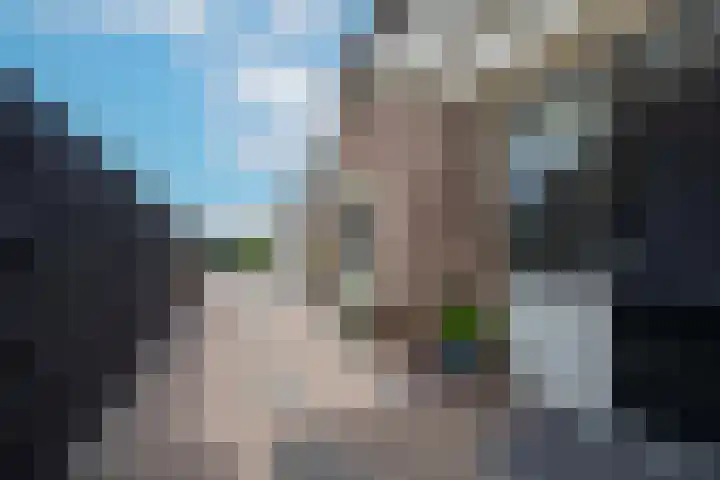 Korenbloemstraat 3 Eck en Wiel thumbnail 36