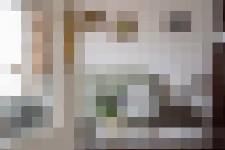 Korenbloemstraat 3 Eck en Wiel thumbnail 4