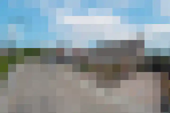 Korenbloemstraat 3 Eck en Wiel thumbnail 46