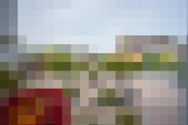 Korenbloemstraat 3 Eck en Wiel thumbnail 6