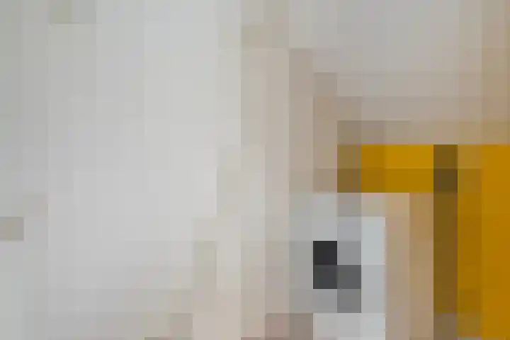 Korenbloemstraat 32 Zwolle thumbnail 30