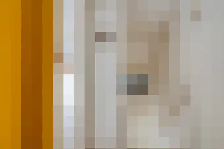 Korenbloemstraat 32 Zwolle thumbnail 31