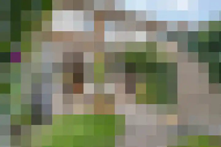 Korenbloemstraat 32 Zwolle thumbnail 34