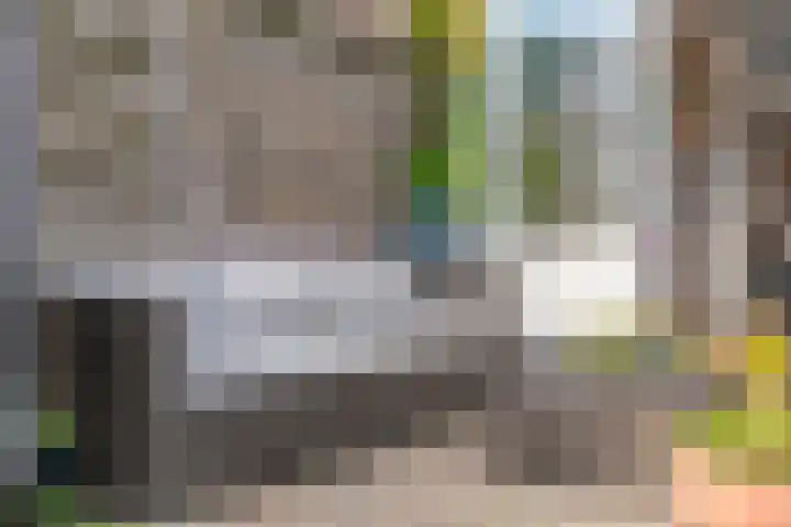 Korenbloemstraat 32 Zwolle thumbnail 37