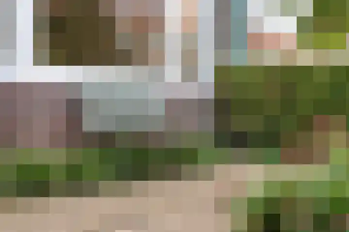 Korenbloemstraat 32 Zwolle thumbnail 38