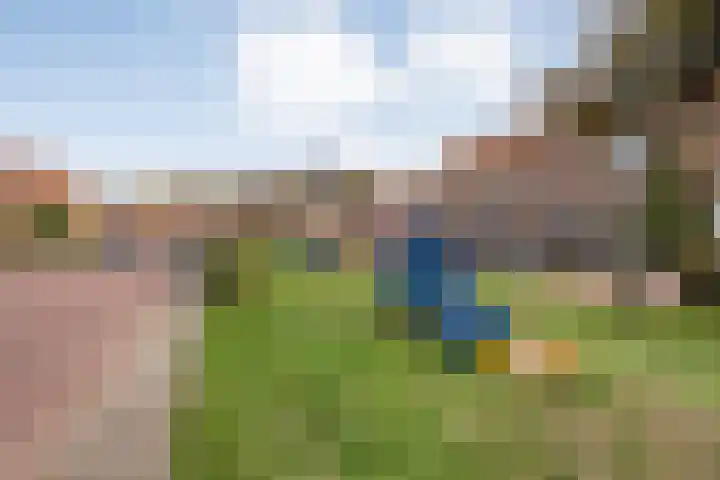 Korenbloemstraat 32 Zwolle thumbnail 39