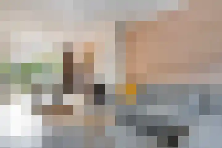 Korenbloemstraat 32 Zwolle thumbnail 6