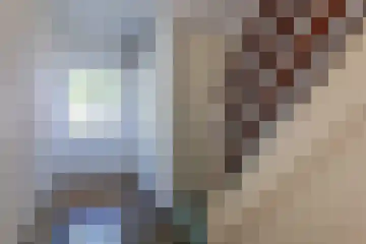 Korenbloemstraat 35 Eibergen thumbnail 21