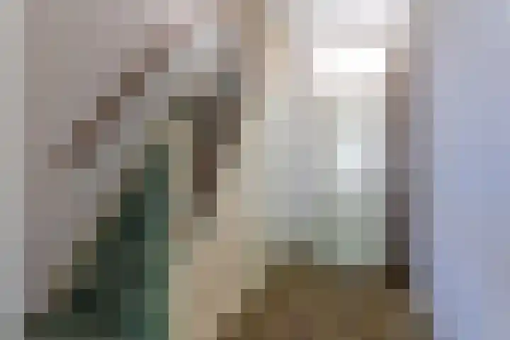 Korenbloemstraat 35 Eibergen thumbnail 22