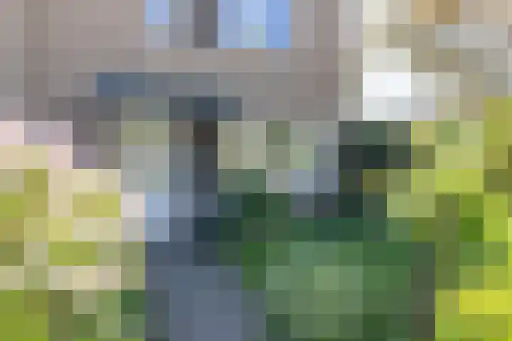 Korenbloemstraat 35 Eibergen thumbnail 8