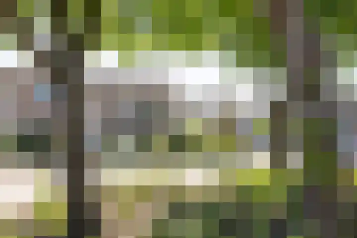 Korenbloemstraat 35 Eibergen thumbnail 9