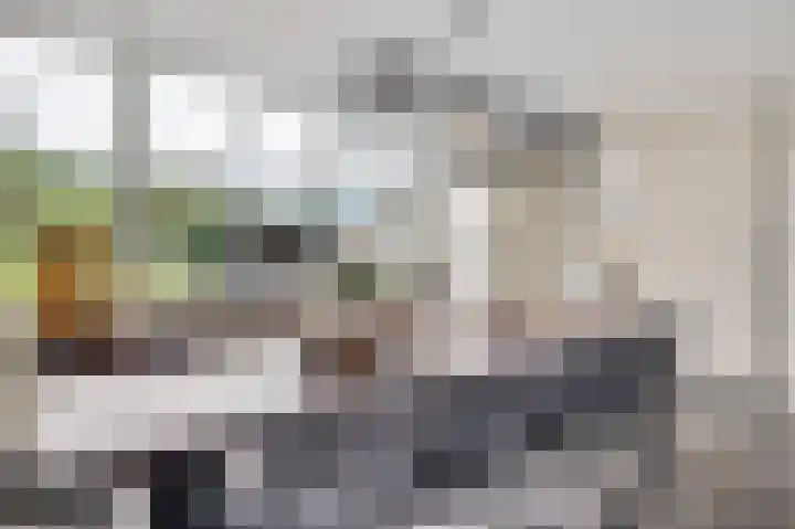 Korenbloemstraat 35 Ospel thumbnail 17